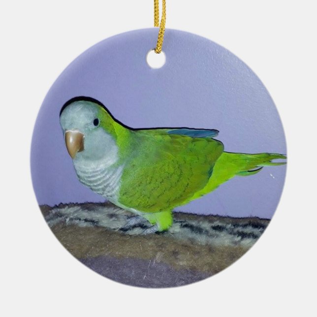 Quaker Parrot Ceramic Ornament (Front)