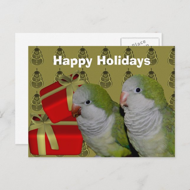 Quaker Parrot Christmas Holiday Postcard (Front/Back)