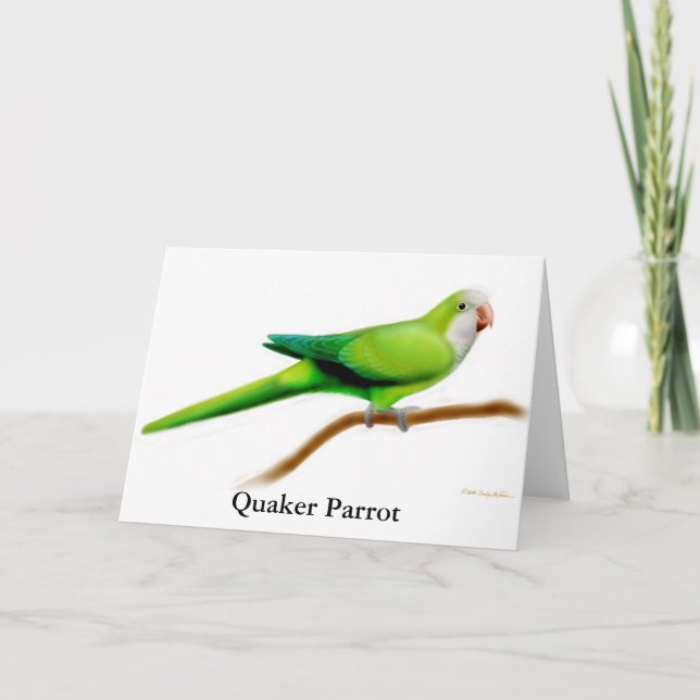 Quaker Parrot Greeting Card (Front)