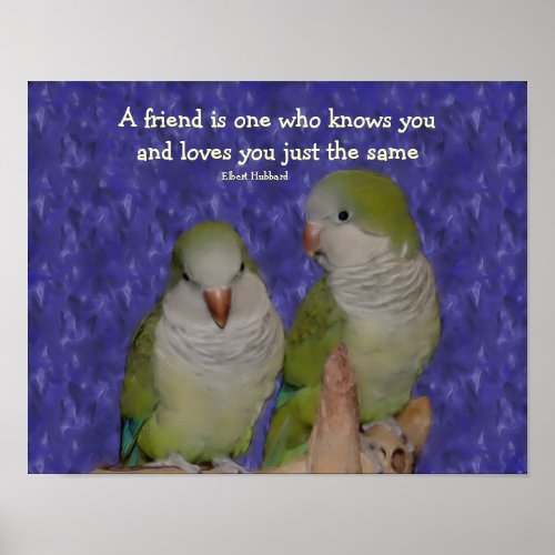 Quaker Parrot Pair Friendship Quote Poster
