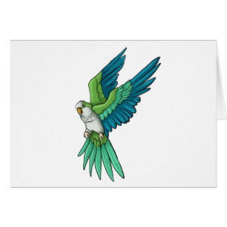 Quaker Parrot Products Cards