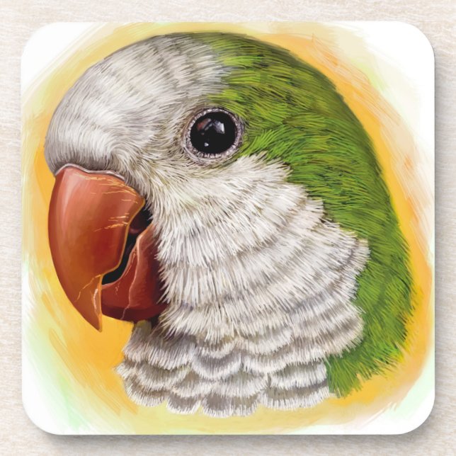 Quaker parrot realistic painting beverage coaster (Front)