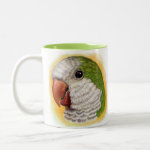 Quaker Parrot Realistic Painting Greeting Mug