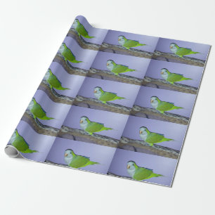Quaker Parrot Wrapping Paper