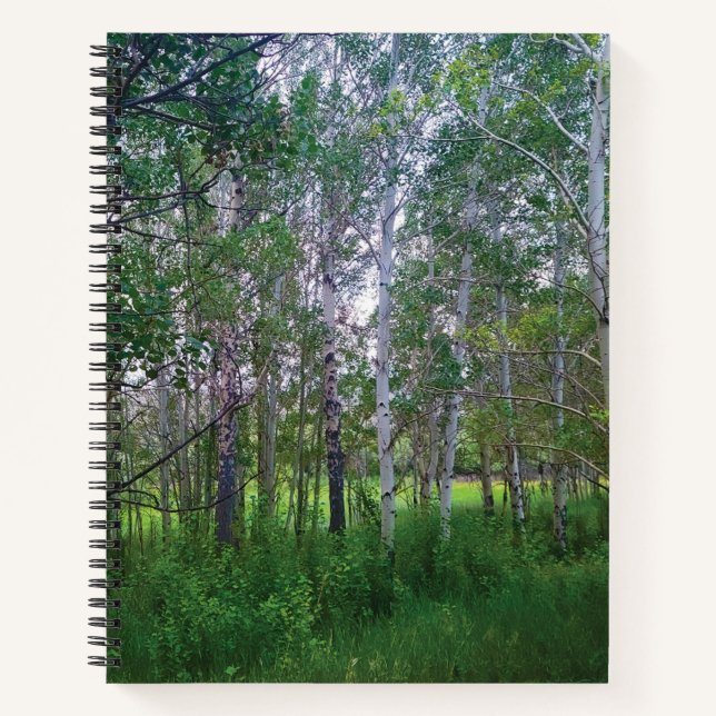 Quakies Spiral Notebook (Front)