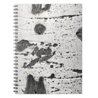 Quaking Aspen Bark Close-Up Photograph Notebook