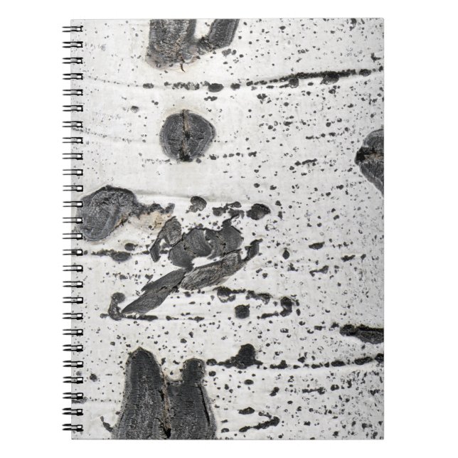 Quaking Aspen Bark Close-Up Photograph Notebook (Front)