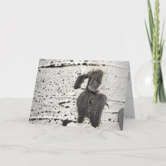 Quaking Aspen Bark Photo Filtered Blank Inside