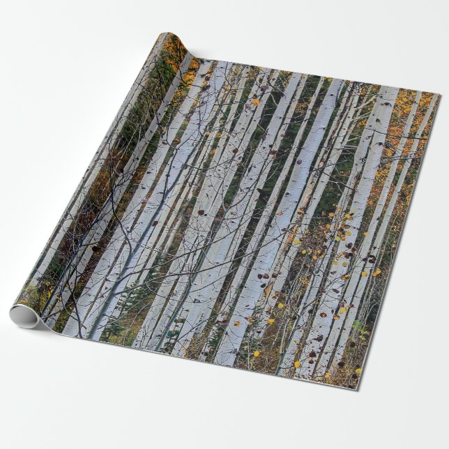 Quaking Aspen in Autumn Wrapping Paper (Unrolled)