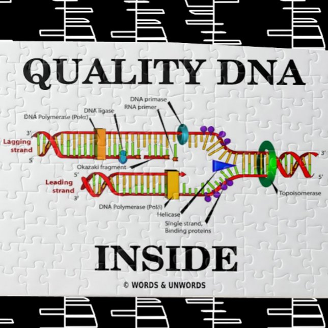 Quality DNA Inside (DNA Replication) Jigsaw Puzzle (Jigsaw puzzle for anyone with "Quality DNA Inside")