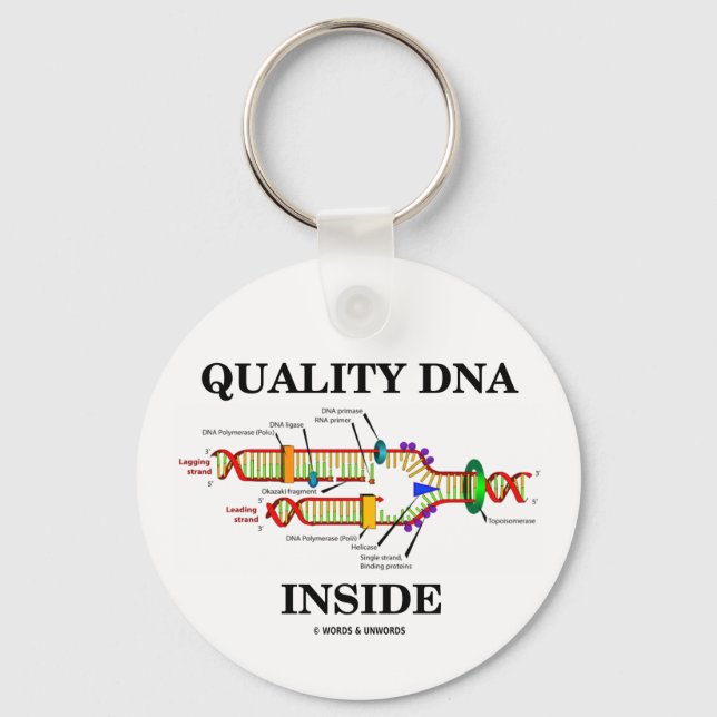 Quality DNA Inside (DNA Replication) Keychain (Front)