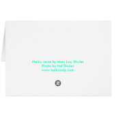 Quality Spare Time Cards (Back Horizontal)