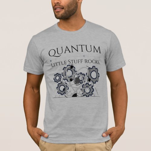 Quantum Mechanics light grey T_Shirt