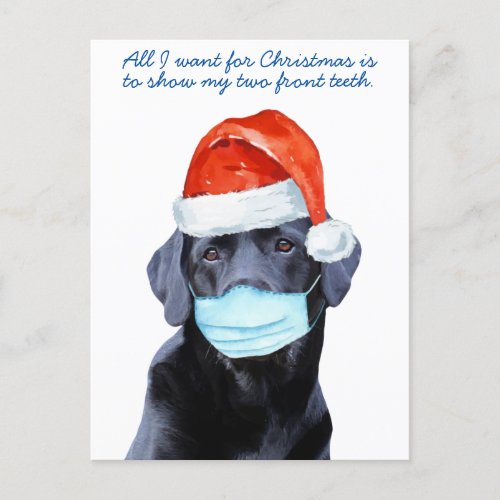 Quarantine Funny Covid Christmas Face Mask Dog Postcard