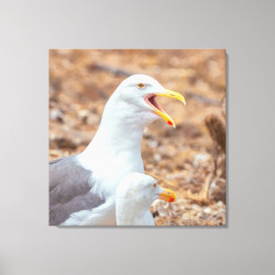 Quarrel  canvas print