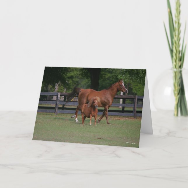 Quarter Horse and Miniature Together Card (Front)