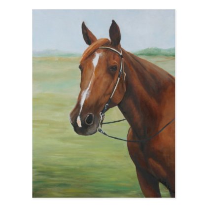 Quarter Horse Animal Art Postcard