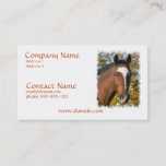 Quarter Horse Business Card at Zazzle