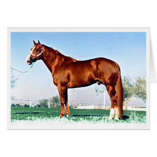 Quarter-Horse Cards