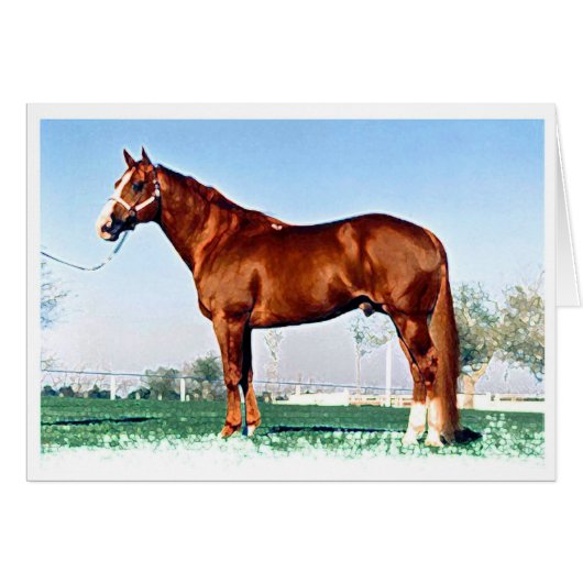 Quarter-Horse Cards (Front Horizontal)