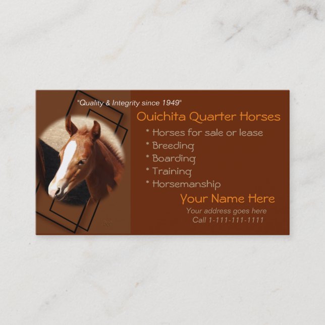 Quarter Horse & Colt Business Cards-1-customize Card (Front)