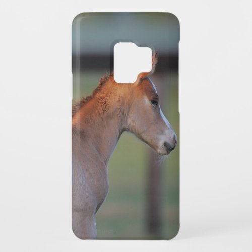 Quarter Horse Foal Case_Mate Samsung Galaxy S9 Case