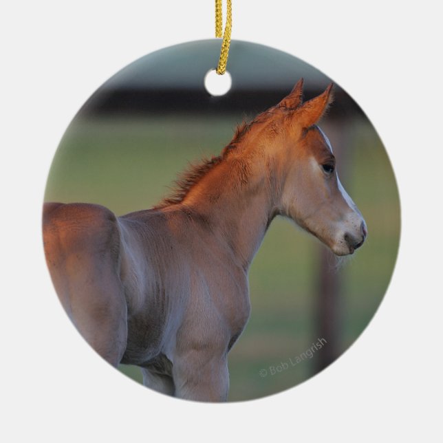 Quarter Horse Foal Ceramic Ornament (Front)