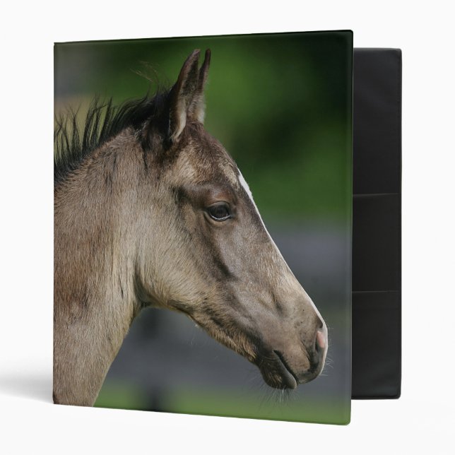 Quarter Horse Foal Headshot Binder (Front/Inside)