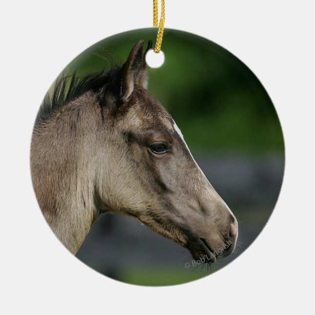 Quarter Horse Foal Headshot Ceramic Ornament (Front)