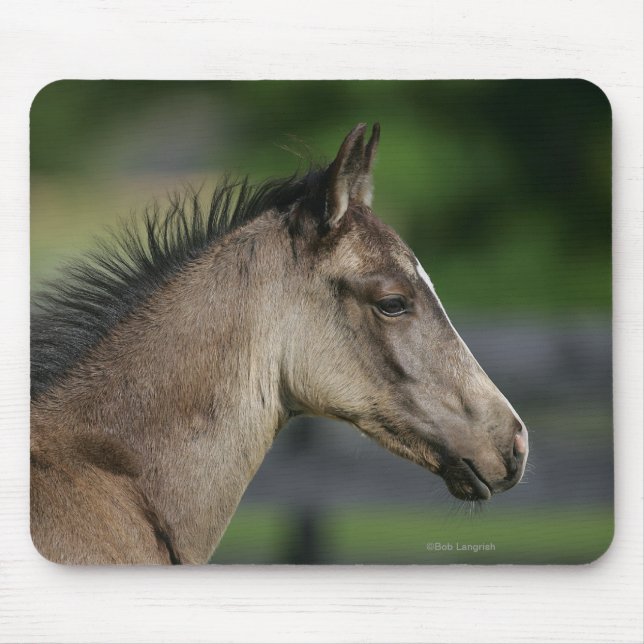 Quarter Horse Foal Headshot Mouse Pad (Front)