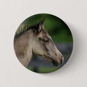 Quarter Horse Foal Headshot Pinback Button