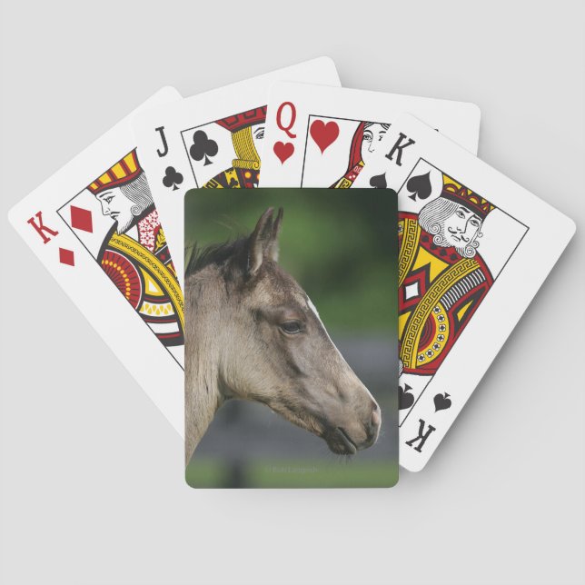 Quarter Horse Foal Headshot Poker Cards (Back)