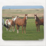 Quarter Horse Herd Mouse Pad