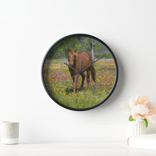 Quarter Horse in Field of Wildflowers Clock