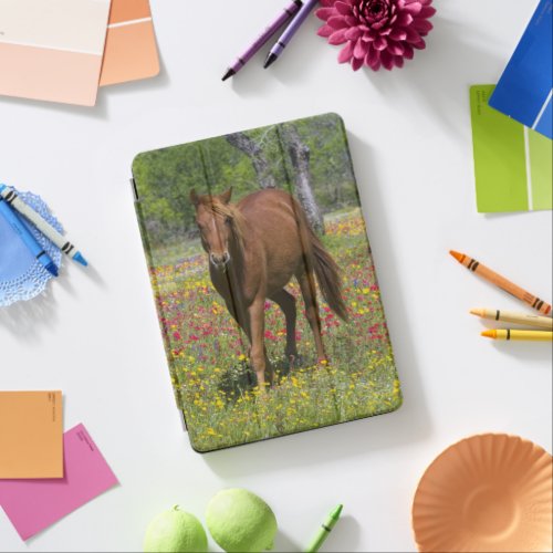 Quarter Horse in Field of Wildflowers iPad Air Cover