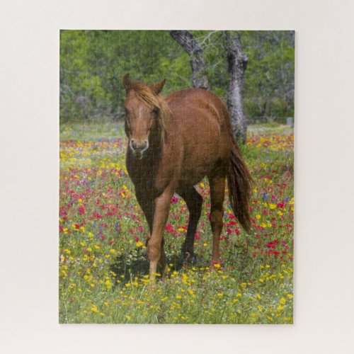 Quarter Horse in Field of Wildflowers Jigsaw Puzzle