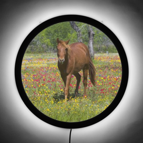Quarter Horse in Field of Wildflowers LED Sign