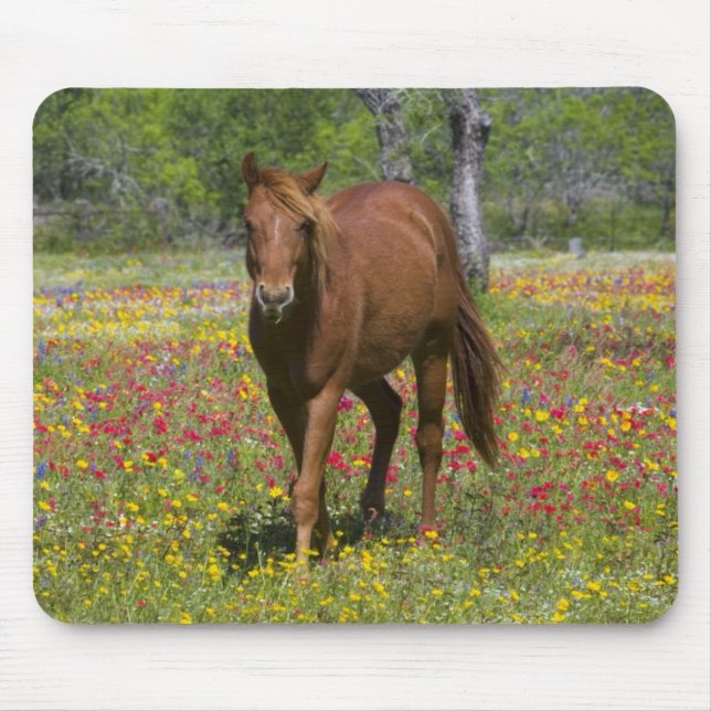 Quarter Horse in Field of Wildflowers Mouse Pad (Front)