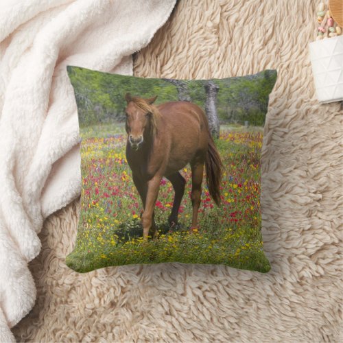 Quarter Horse in Field of Wildflowers Throw Pillow