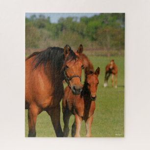 Quarter Horse Mare And Foal Standing Jigsaw Puzzle