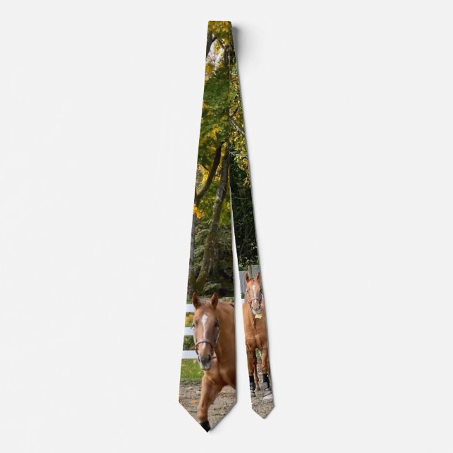 Quarter Horse Men's Tie (Front)