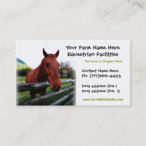 Quarter Horse Photo for Equestrian Services Business Card Templates