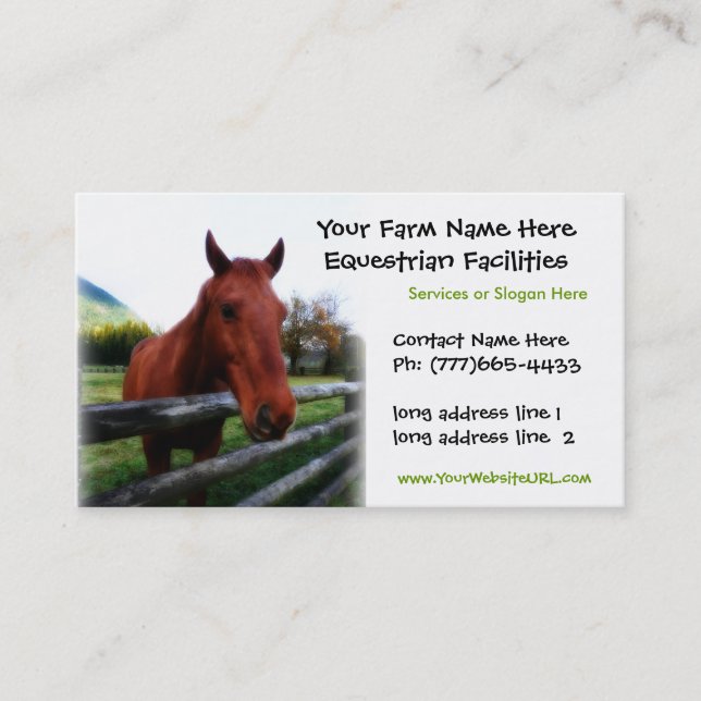 Quarter Horse Photo for Equestrian Services Business Card (Front)