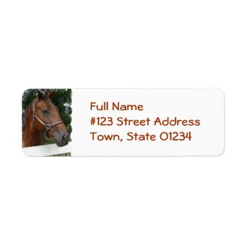 Quarter Horse Photo Return Address Label by HorseStall at Zazzle