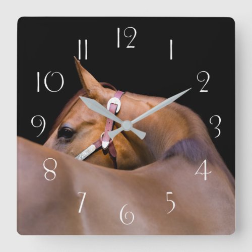 Quarter horse with black background square wall clock