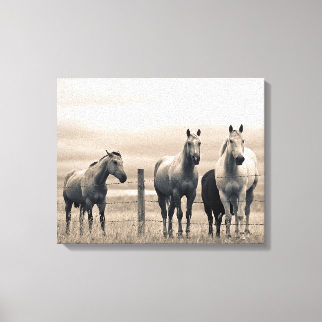 Quarter Horses On Canadian Prairie Canvas Print (Front)