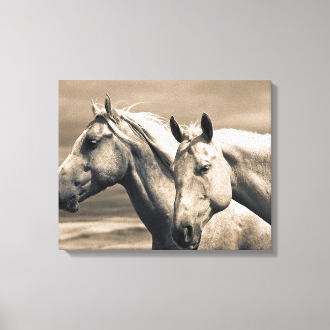 Quarter Horses On Canadian Prairie Canvas Print (Front)