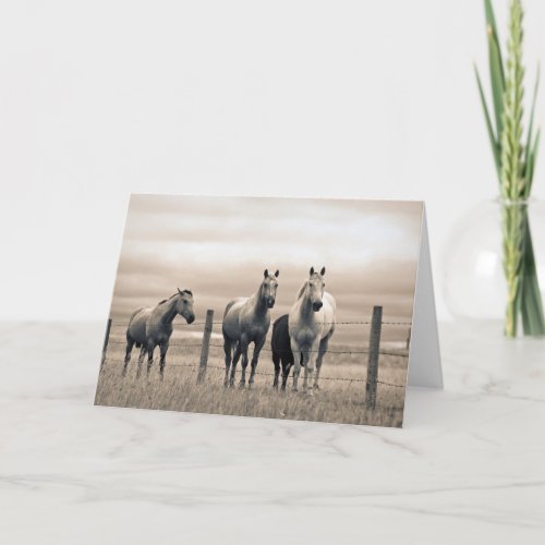 Quarter Horses On Canadian Prairie Card