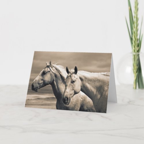 Quarter Horses On Canadian Prairie Card