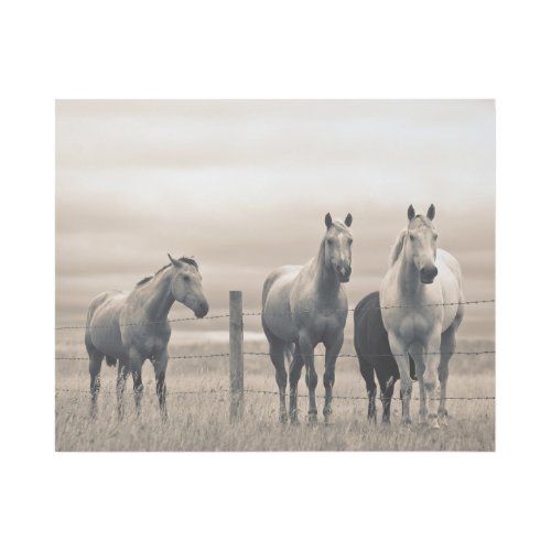 Quarter Horses On Canadian Prairie Gallery Wrap
